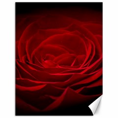 Rose Red Rose Red Flower Petals Waves Glow Canvas 12  X 16  by pakminggu