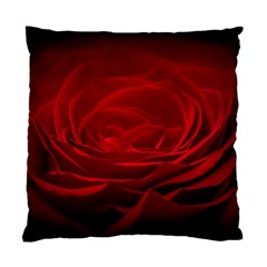 Rose Red Rose Red Flower Petals Waves Glow Standard Cushion Case (two Sides) by pakminggu