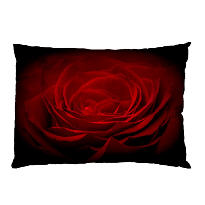 Rose Red Rose Red Flower Petals Waves Glow Pillow Case