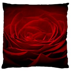 Rose Red Rose Red Flower Petals Waves Glow Large Cushion Case (two Sides) by pakminggu