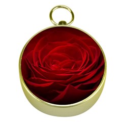 Rose Red Rose Red Flower Petals Waves Glow Gold Compasses by pakminggu