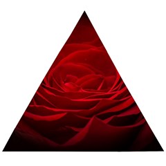 Rose Red Rose Red Flower Petals Waves Glow Wooden Puzzle Triangle by pakminggu