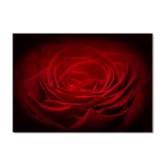 Rose Red Rose Red Flower Petals Waves Glow Crystal Sticker (a4) by pakminggu