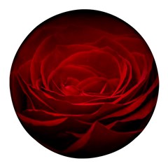 Rose Red Rose Red Flower Petals Waves Glow Round Glass Fridge Magnet (4 Pack)