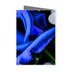 Blue Rose Roses Bloom Blossom Mini Greeting Cards (pkg Of 8) by pakminggu