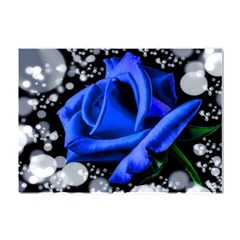 Blue Rose Roses Bloom Blossom Crystal Sticker (a4) by pakminggu