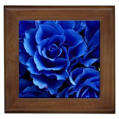 Roses Flowers Plant Romance Framed Tile by pakminggu