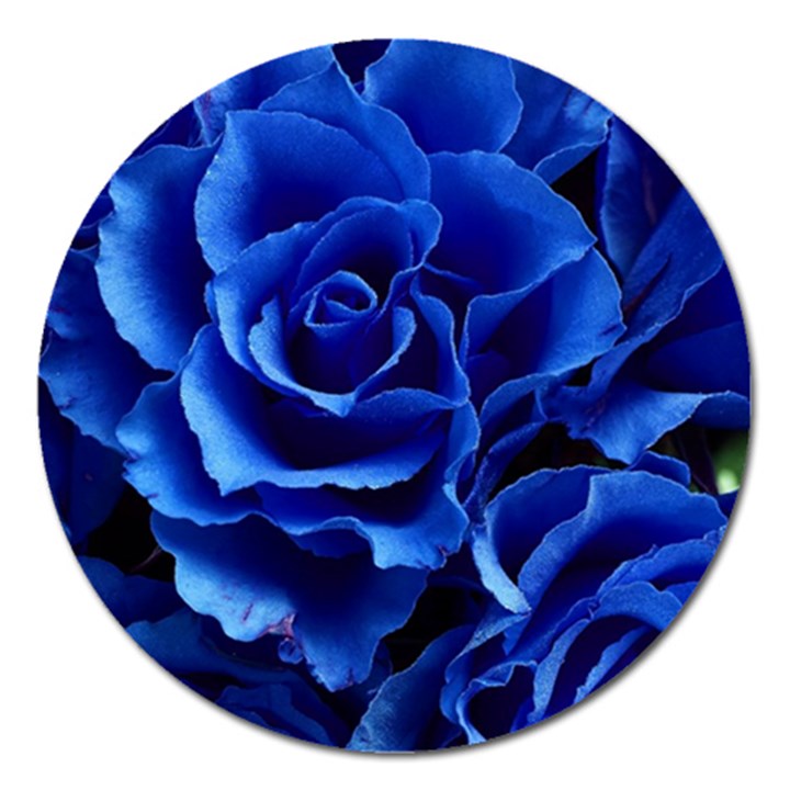 Roses Flowers Plant Romance Magnet 5  (Round)