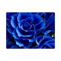 Roses Flowers Plant Romance Premium Plush Fleece Blanket (mini) by pakminggu