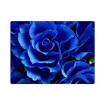 Roses Flowers Plant Romance Premium Plush Fleece Blanket (Mini) 35 x27  Blanket Front