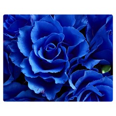 Roses Flowers Plant Romance Premium Plush Fleece Blanket (medium) by pakminggu