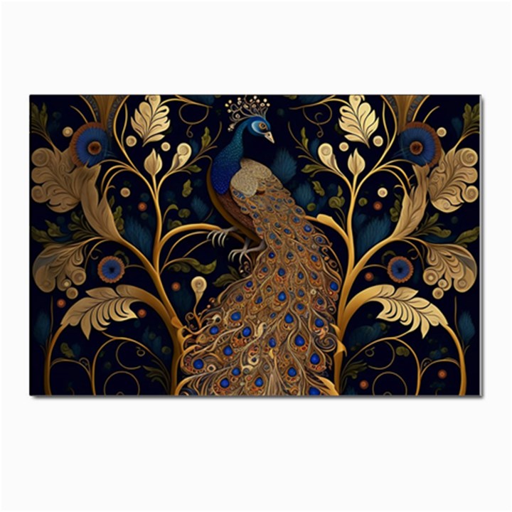 Peacock Plumage Bird  Pattern Graceful Postcard 4 x 6  (Pkg of 10)