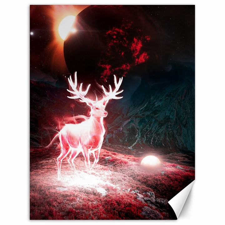 Deer Animal Moon Planet Space Fantasy Canvas 18  x 24 