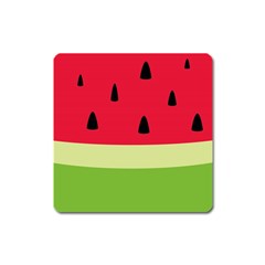 Watermelon Fruit Food Healthy Vitamins Nutrition Square Magnet by pakminggu