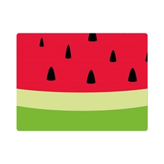 Watermelon Fruit Food Healthy Vitamins Nutrition Premium Plush Fleece Blanket (mini)