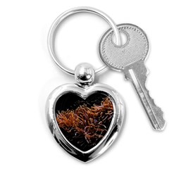 Sea Anemone Coral Underwater Ocean Sea Water Key Chain (heart) by pakminggu