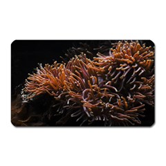 Sea Anemone Coral Underwater Ocean Sea Water Magnet (rectangular) by pakminggu