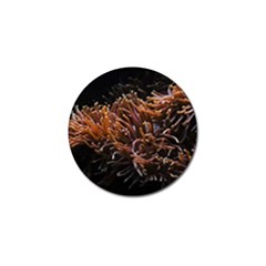 Sea Anemone Coral Underwater Ocean Sea Water Golf Ball Marker (4 Pack) by pakminggu