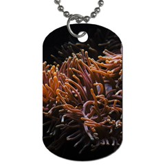 Sea Anemone Coral Underwater Ocean Sea Water Dog Tag (two Sides) by pakminggu