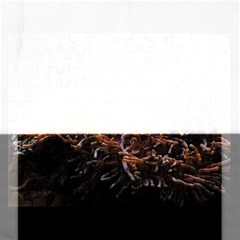 Sea Anemone Coral Underwater Ocean Sea Water Rectangular Jigsaw Puzzl by pakminggu