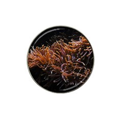 Sea Anemone Coral Underwater Ocean Sea Water Hat Clip Ball Marker by pakminggu