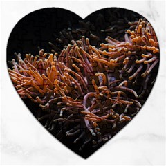 Sea Anemone Coral Underwater Ocean Sea Water Jigsaw Puzzle (heart) by pakminggu