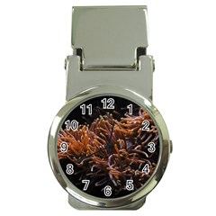 Sea Anemone Coral Underwater Ocean Sea Water Money Clip Watches by pakminggu