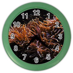 Sea Anemone Coral Underwater Ocean Sea Water Color Wall Clock by pakminggu