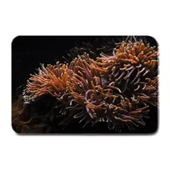 Sea Anemone Coral Underwater Ocean Sea Water Plate Mats by pakminggu