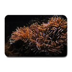 Sea Anemone Coral Underwater Ocean Sea Water Plate Mats 18 x12  Plate Mat