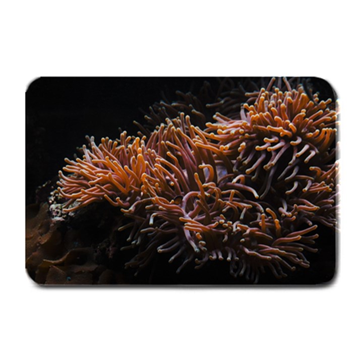 Sea Anemone Coral Underwater Ocean Sea Water Plate Mats