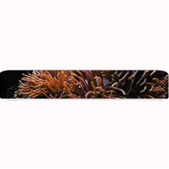 Sea Anemone Coral Underwater Ocean Sea Water Small Bar Mat by pakminggu