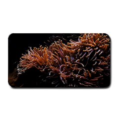 Sea Anemone Coral Underwater Ocean Sea Water Medium Bar Mat by pakminggu