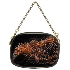 Sea Anemone Coral Underwater Ocean Sea Water Chain Purse (one Side) by pakminggu