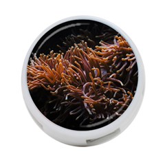 Sea Anemone Coral Underwater Ocean Sea Water 4-port Usb Hub (one Side) by pakminggu