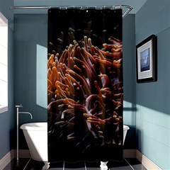 Sea Anemone Coral Underwater Ocean Sea Water Shower Curtain 36  X 72  (stall)  by pakminggu