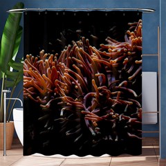 Sea Anemone Coral Underwater Ocean Sea Water Shower Curtain 60  X 72  (medium)  by pakminggu