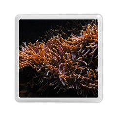 Sea Anemone Coral Underwater Ocean Sea Water Memory Card Reader (square) by pakminggu