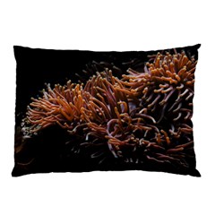 Sea Anemone Coral Underwater Ocean Sea Water Pillow Case (two Sides) by pakminggu