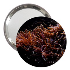 Sea Anemone Coral Underwater Ocean Sea Water 3  Handbag Mirrors by pakminggu