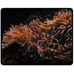 Sea Anemone Coral Underwater Ocean Sea Water Two Sides Fleece Blanket (medium) by pakminggu