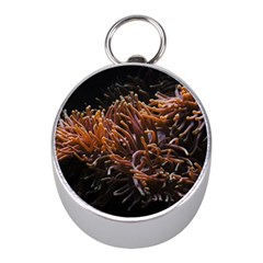 Sea Anemone Coral Underwater Ocean Sea Water Mini Silver Compasses by pakminggu