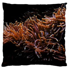 Sea Anemone Coral Underwater Ocean Sea Water Standard Premium Plush Fleece Cushion Case (two Sides) by pakminggu