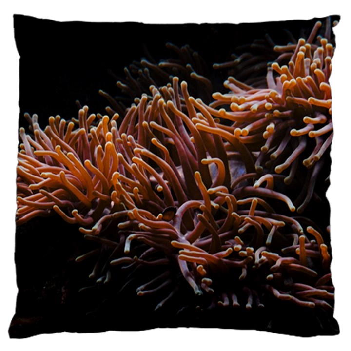 Sea Anemone Coral Underwater Ocean Sea Water Standard Premium Plush Fleece Cushion Case (Two Sides)