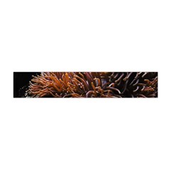 Sea Anemone Coral Underwater Ocean Sea Water Premium Plush Fleece Scarf (mini) by pakminggu