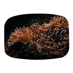 Sea Anemone Coral Underwater Ocean Sea Water Mini Square Pill Box by pakminggu