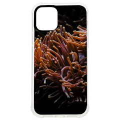 Sea Anemone Coral Underwater Ocean Sea Water Iphone 12/12 Pro Tpu Uv Print Case by pakminggu