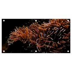 Sea Anemone Coral Underwater Ocean Sea Water Banner And Sign 4  X 2  by pakminggu