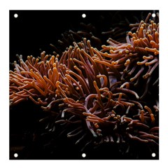 Sea Anemone Coral Underwater Ocean Sea Water Banner And Sign 4  X 4 