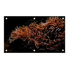 Sea Anemone Coral Underwater Ocean Sea Water Banner And Sign 5  X 3  by pakminggu